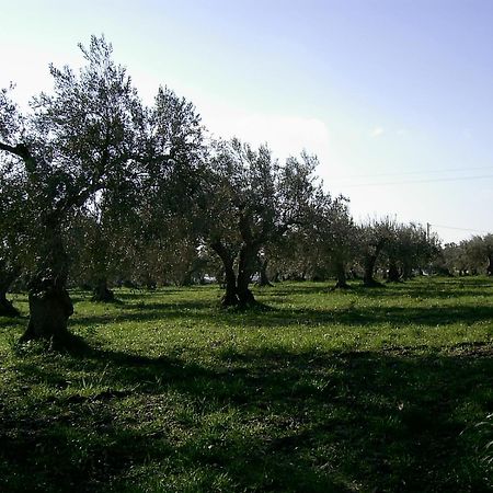 Agriturismo Baglio Calanchi Modica Eksteriør billede