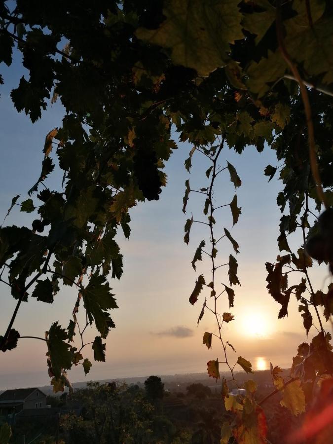 Agriturismo Baglio Calanchi Modica Eksteriør billede