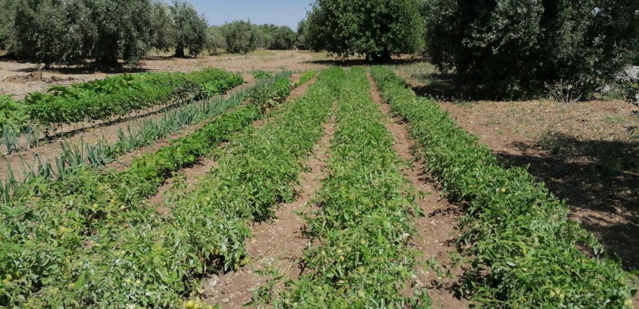 Agriturismo Baglio Calanchi Modica Eksteriør billede